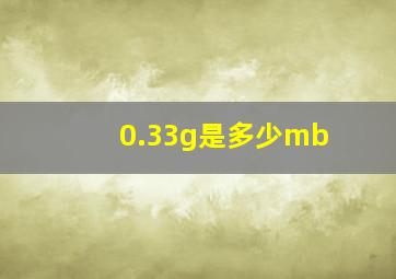 0.33g是多少mb