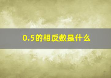 0.5的相反数是什么