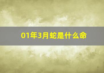 01年3月蛇是什么命