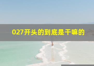 027开头的到底是干嘛的