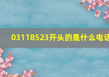 03118523开头的是什么电话