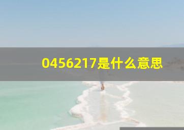 0456217是什么意思