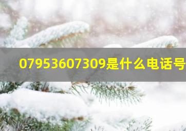 07953607309是什么电话号码