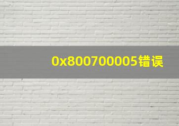 0x800700005错误