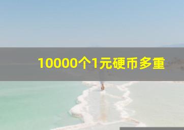 10000个1元硬币多重