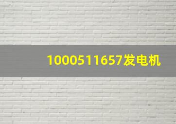 1000511657发电机