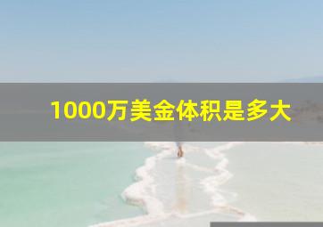 1000万美金体积是多大