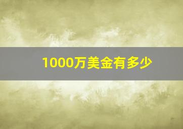 1000万美金有多少