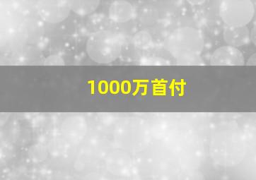 1000万首付