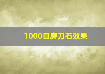 1000目磨刀石效果