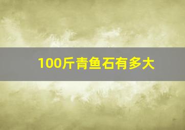 100斤青鱼石有多大