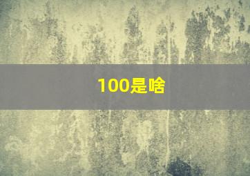 100是啥