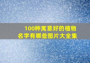 100种寓意好的植物名字有哪些图片大全集