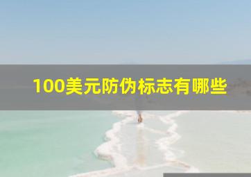 100美元防伪标志有哪些