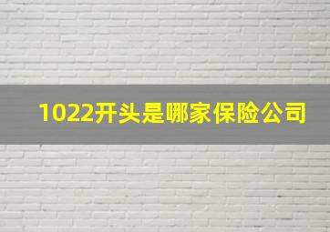 1022开头是哪家保险公司