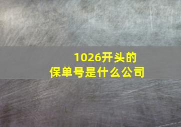 1026开头的保单号是什么公司