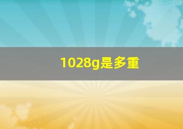 1028g是多重