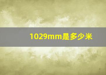 1029mm是多少米