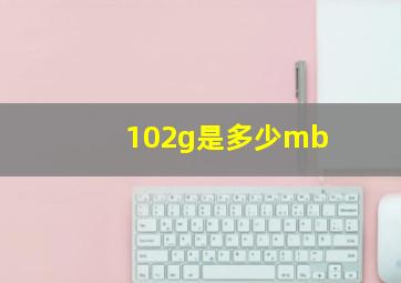 102g是多少mb