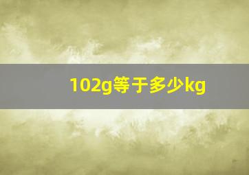 102g等于多少kg