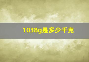 1038g是多少千克