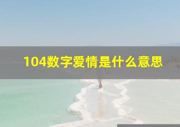 104数字爱情是什么意思