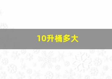 10升桶多大