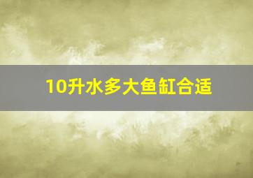 10升水多大鱼缸合适