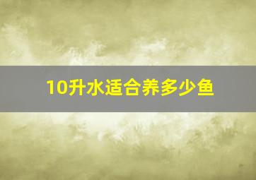 10升水适合养多少鱼