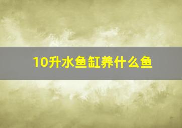 10升水鱼缸养什么鱼