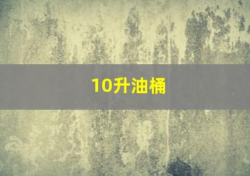 10升油桶