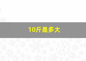 10斤是多大