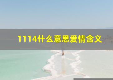 1114什么意思爱情含义