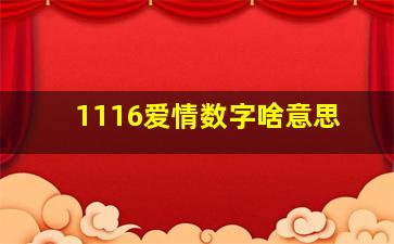 1116爱情数字啥意思