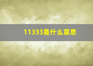 11333是什么意思