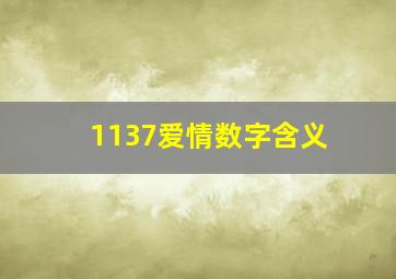 1137爱情数字含义