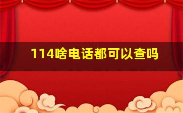 114啥电话都可以查吗