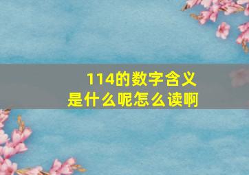 114的数字含义是什么呢怎么读啊