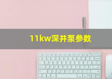 11kw深井泵参数