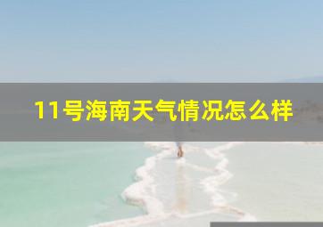 11号海南天气情况怎么样