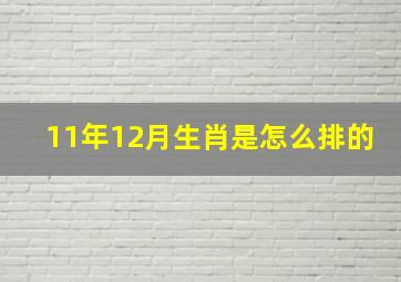 11年12月生肖是怎么排的