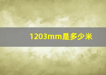 1203mm是多少米