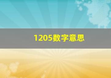 1205数字意思