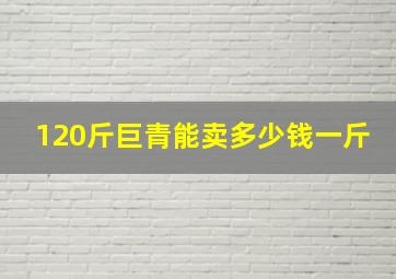 120斤巨青能卖多少钱一斤