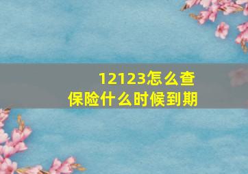 12123怎么查保险什么时候到期