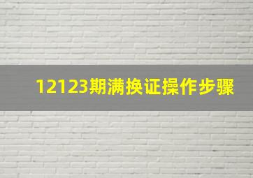 12123期满换证操作步骤