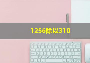 1256除以310