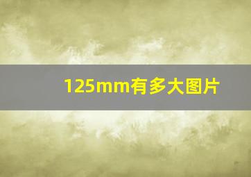 125mm有多大图片