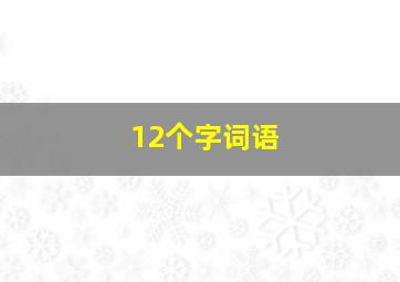 12个字词语