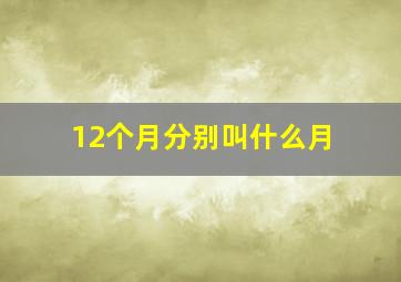 12个月分别叫什么月